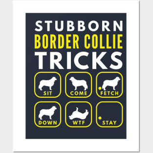 Stubborn Border Collie Tricks - Dog Training Posters and Art